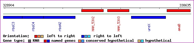 gene map