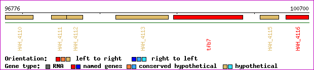 gene map