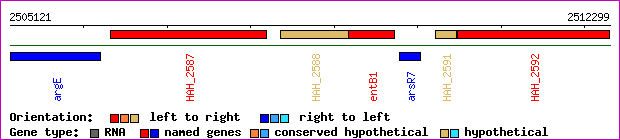 gene map