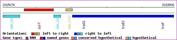 gene map
