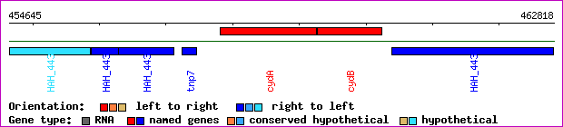 gene map