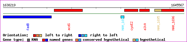 gene map