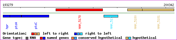 gene map