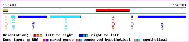 gene map