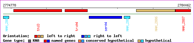 gene map