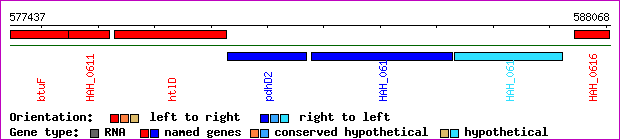 gene map