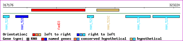 gene map