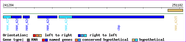 gene map