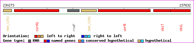 gene map