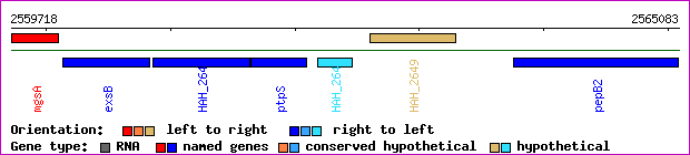 gene map