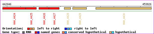 gene map