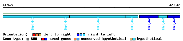 gene map