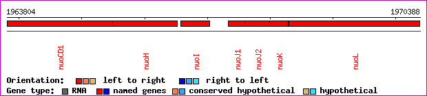 gene map
