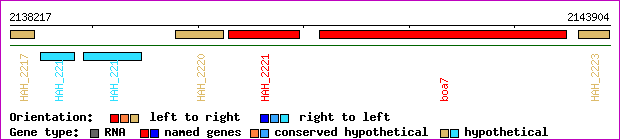 gene map