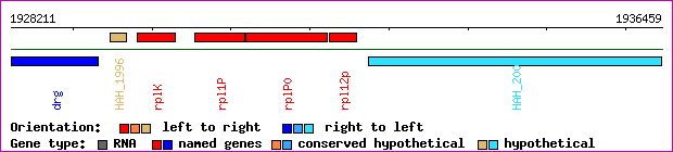 gene map