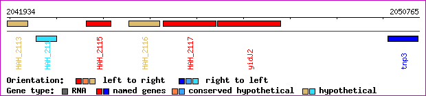 gene map