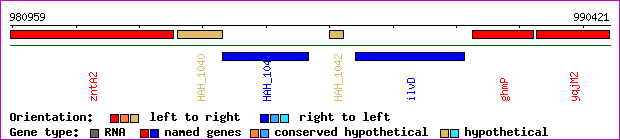 gene map