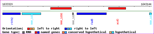 gene map