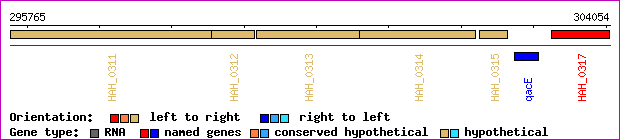 gene map