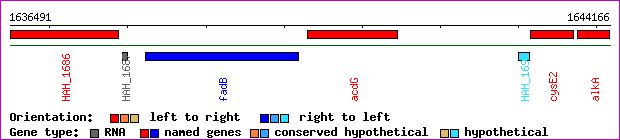 gene map