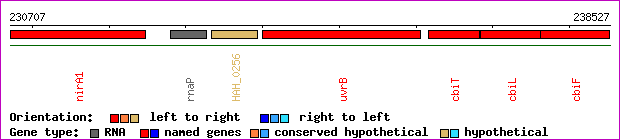 gene map