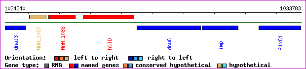 gene map