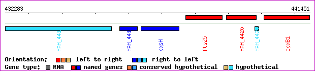 gene map
