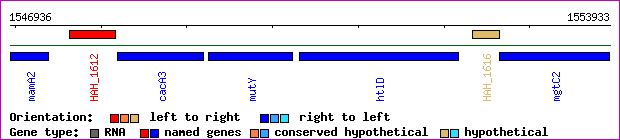 gene map