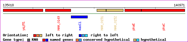 gene map