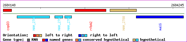 gene map