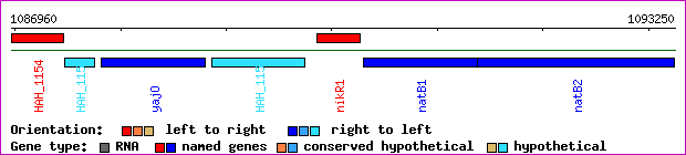 gene map