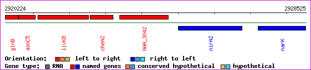 gene map