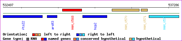 gene map