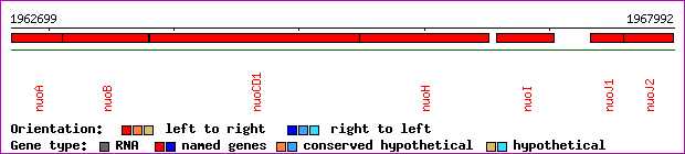 gene map