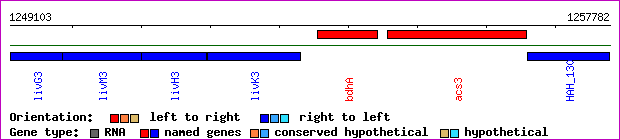 gene map