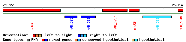 gene map