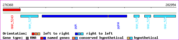 gene map