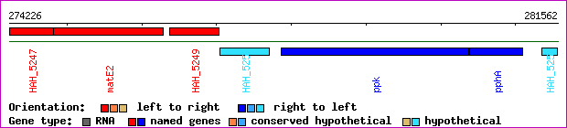 gene map