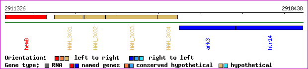gene map