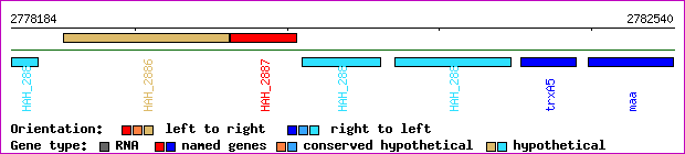 gene map