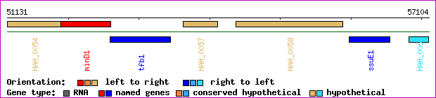 gene map