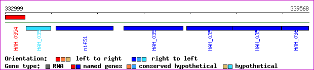 gene map