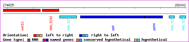 gene map