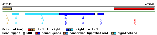 gene map