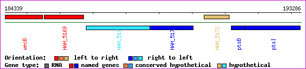 gene map