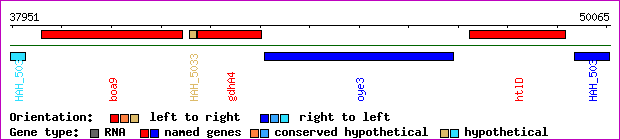gene map