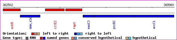 gene map