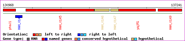 gene map