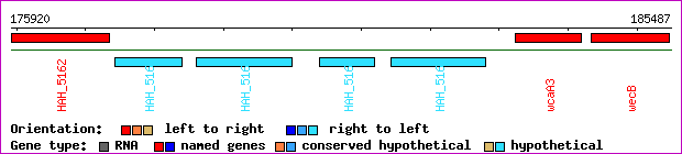 gene map