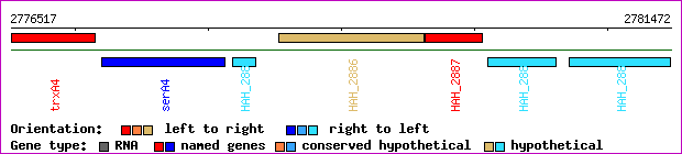 gene map